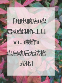 用电脑店U盘启动盘制作工具V3.3制作U盘启动后无法格式化