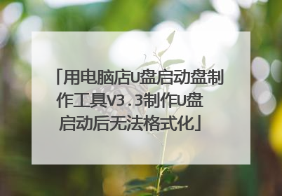 用电脑店U盘启动盘制作工具V3.3制作U盘启动后无法格式化