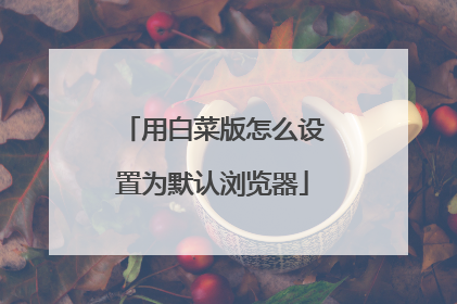 用白菜版怎么设置为默认浏览器