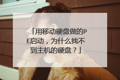 用移动硬盘做的PE启动,为什么找不到主机的硬盘?