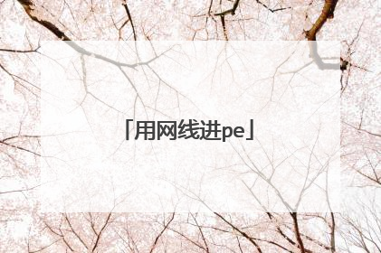 用网线进pe
