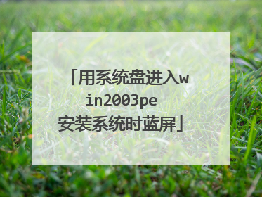 用系统盘进入win2003pe安装系统时蓝屏