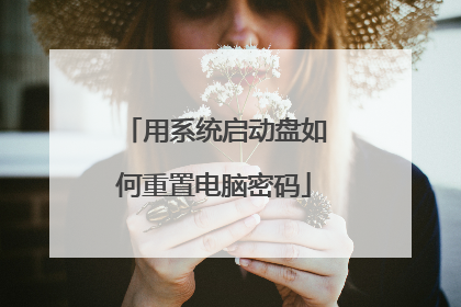 用系统启动盘如何重置电脑密码