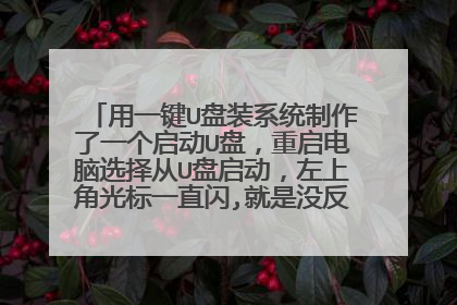 用一键U盘装系统制作了一个启动U盘,重启电脑选择从U盘启动,左上角光标一直闪,就是没反应,这怎么回事啊