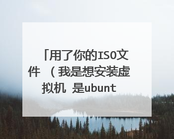 用了你的ISO文件 (我是想安装虚拟机 是ubuntu系统)显示这个该点击 进入 windows PE微型系统吗?
