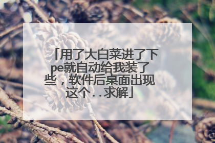 用了大白菜进了下pe就自动给我装了些,软件后桌面出现这个..求解