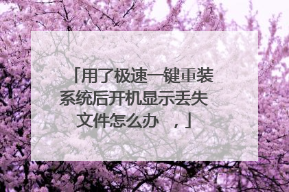 用了极速一键重装系统后开机显示丢失文件怎么办 ,