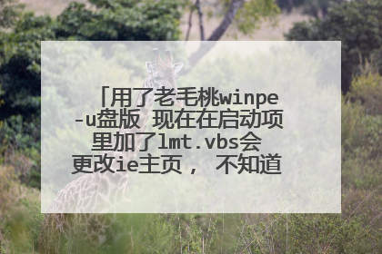 用了老毛桃winpe-u盘版 现在在启动项里加了lmt.vbs会更改ie主页, 不知道有没有干净的U盘pe, 大家推荐一款