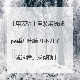 用云骑士重装系统成pe重启电脑开不开了就这样。求帮助