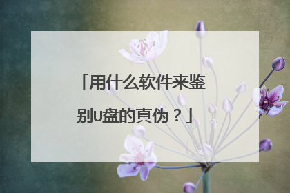 用什么软件来鉴别U盘的真伪?