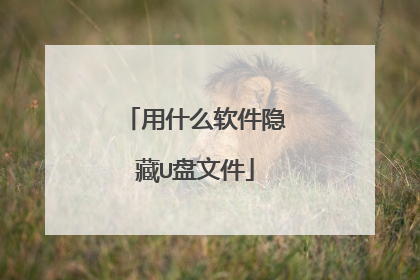 用什么软件隐藏U盘文件