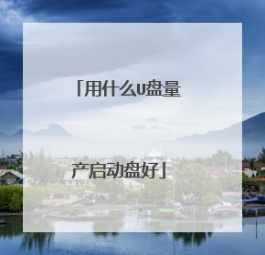 用什么U盘量产启动盘好