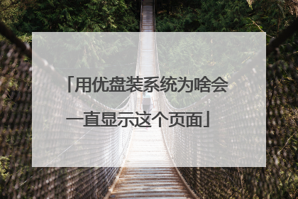 用优盘装系统为啥会一直显示这个页面