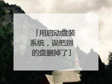 用启动盘装系统,误把别的盘删掉了
