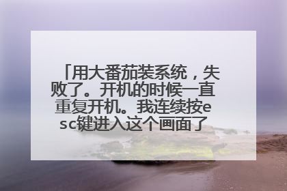 用大番茄装系统，失败了。开机的时候一直重复开机。我连续按esc键进入这个画面了。还有救么，大神。