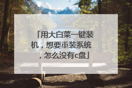 用大白菜一键装机，想要重装系统，怎么没有c盘