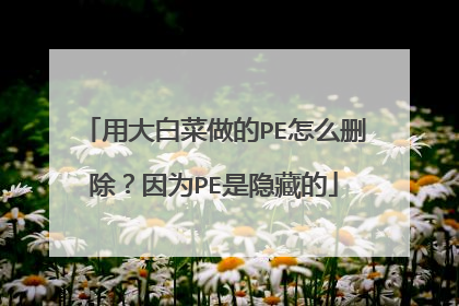 用大白菜做的PE怎么删除？因为PE是隐藏的