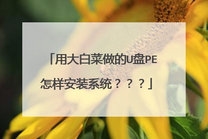 用大白菜做的U盘PE怎样安装系统？？？