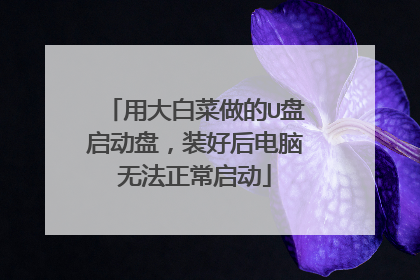 用大白菜做的U盘启动盘,装好后电脑无法正常启动
