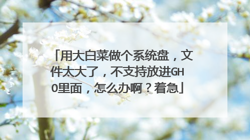 用大白菜做个系统盘,文件太大了,不支持放进GHO里面,怎么办啊?着急
