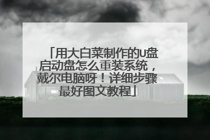 用大白菜制作的U盘启动盘怎么重装系统,戴尔电脑呀!详细步骤最好图文教程