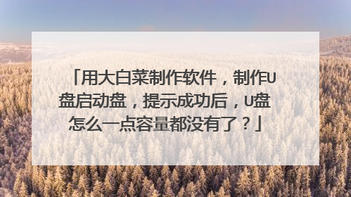 用大白菜制作软件，制作U盘启动盘，提示成功后，U盘怎么一点容量都没有了？