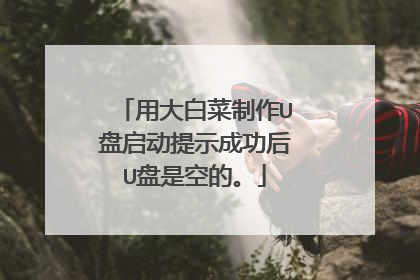 用大白菜制作U盘启动提示成功后U盘是空的。