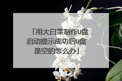 用大白菜制作U盘启动提示成功后U盘是空的怎么办