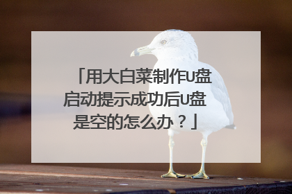 用大白菜制作U盘启动提示成功后U盘是空的怎么办?