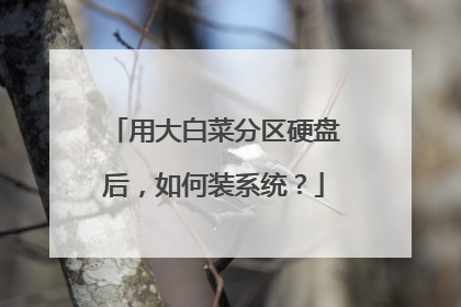 用大白菜分区硬盘后,如何装系统?