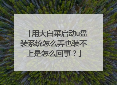 用大白菜启动u盘装系统怎么弄也装不上是怎么回事？