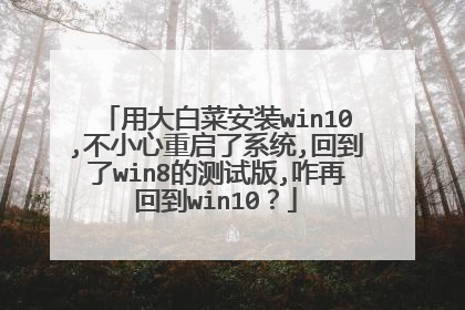 用大白菜安装win10,不小心重启了系统,回到了win8的测试版,咋再回到win10?