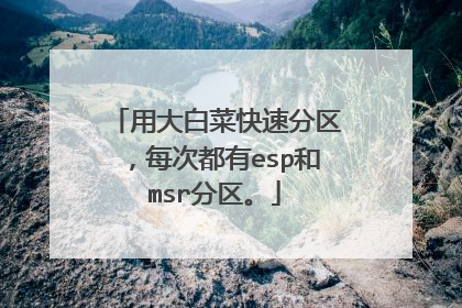 用大白菜快速分区，每次都有esp和msr分区。
