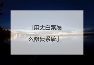 用大白菜怎么修复系统