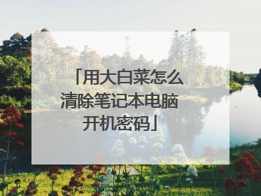 用大白菜怎么清除笔记本电脑开机密码