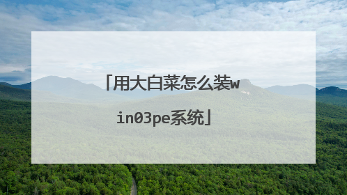 用大白菜怎么装win03pe系统