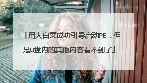 用大白菜成功引导启动PE,但是U盘内的其他内容看不到了