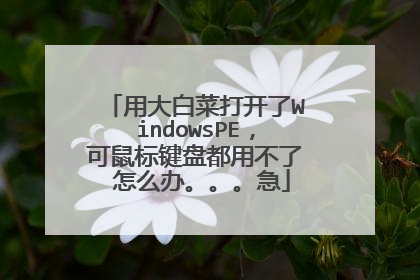 用大白菜打开了WindowsPE,可鼠标键盘都用不了 怎么办。。。急