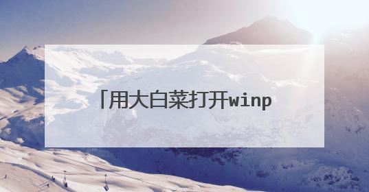 用大白菜打开winpe2003的时候出现蓝屏,信息如图,请问要怎么解决呢。图中所示信息是什么意思呢