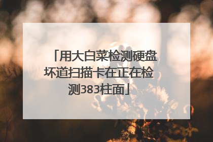 用大白菜检测硬盘坏道扫描卡在正在检测383柱面