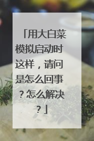 用大白菜模拟启动时这样,请问是怎么回事?怎么解决?