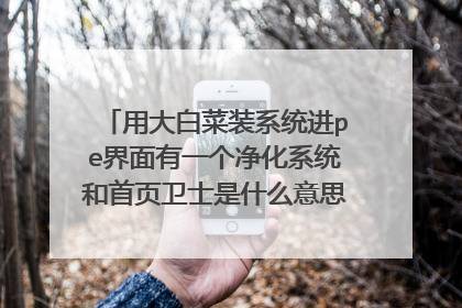 用大白菜装系统进pe界面有一个净化系统和首页卫士是什么意思呀哪位大神知道