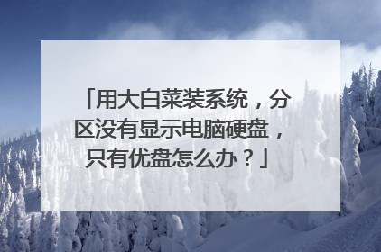 用大白菜装系统，分区没有显示电脑硬盘，只有优盘怎么办？
