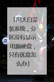 用大白菜装系统，分区没有显示电脑硬盘，只有优盘怎么办