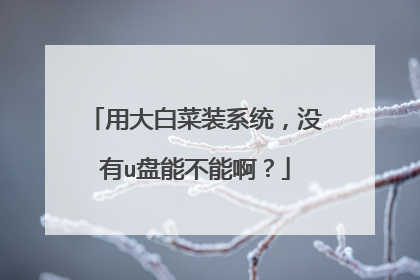 用大白菜装系统,没有u盘能不能啊?
