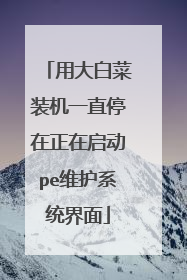 用大白菜装机一直停在正在启动pe维护系统界面