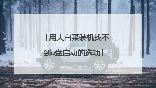 用大白菜装机找不到u盘启动的选项