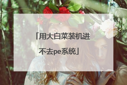 用大白菜装机进不去pe系统