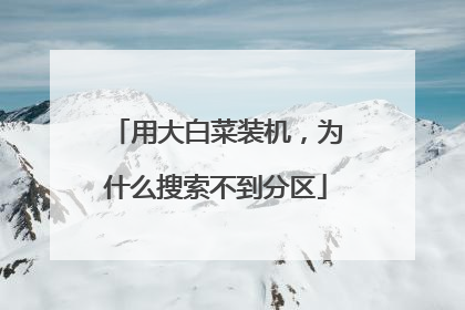 用大白菜装机，为什么搜索不到分区