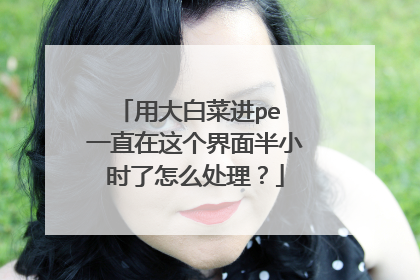 用大白菜进pe 一直在这个界面半小时了怎么处理?
